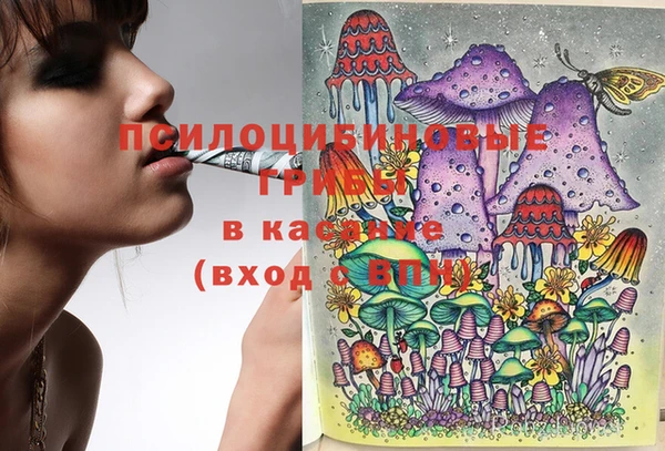 МДПВ Абаза