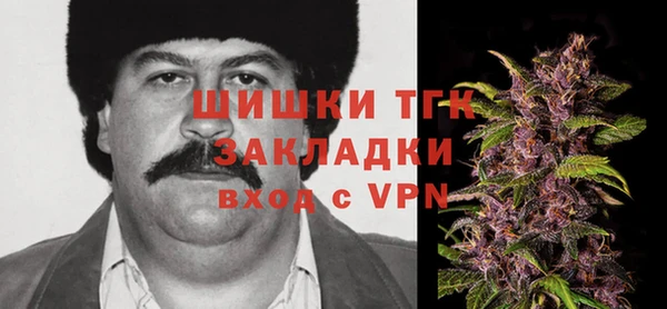 тгк Алексин