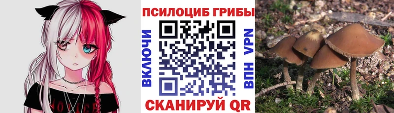Галлюциногенные грибы мицелий  как найти наркотики  omg ONION  Ладушкин 
